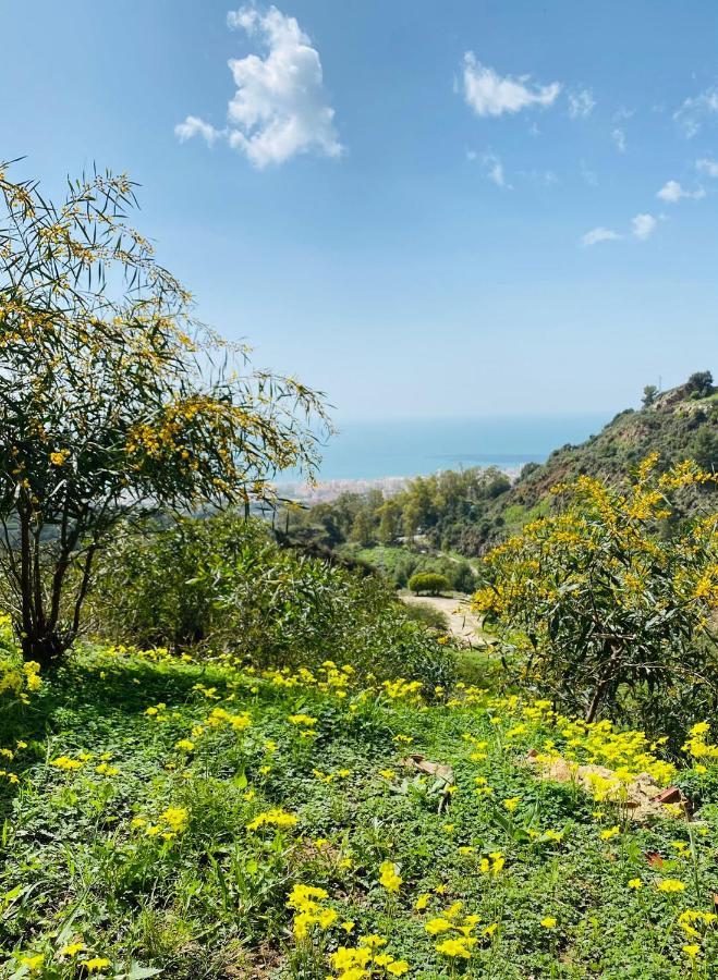 Casa Capricornio Bed and Breakfast Μαρμπέλλα Εξωτερικό φωτογραφία