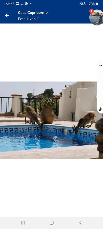 Casa Capricornio Bed and Breakfast Μαρμπέλλα Εξωτερικό φωτογραφία